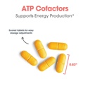 optimox-arg-atp-cofactors-100-mg-ribofla-4.jpg