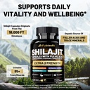 shilajit-capsules-premium-shilajit-for-m-3.jpg