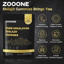 zooone-shilajit-himalayan-gummies-with-a-4.jpg