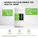 davinci-labs-nad-activate-nad-supplement-3.jpg