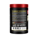 allmax-aminocore-creatine-monohydrate-st-2.jpg