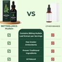 betterlungs-mullein-leaf-extract-and-gum-5.jpg