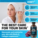 herbify-bundle-mullein-leaf-extract-biot-4.jpg