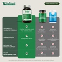 rhubarb-gut-motility-activator-for-bowel-6.jpg
