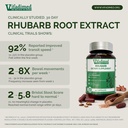rhubarb-gut-motility-activator-for-bowel-3.jpg