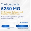 fine-japan-liquid-collagen-with-swallow--5.jpg