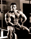 pride-natural-testosterone-anabolic-supp-2.jpg