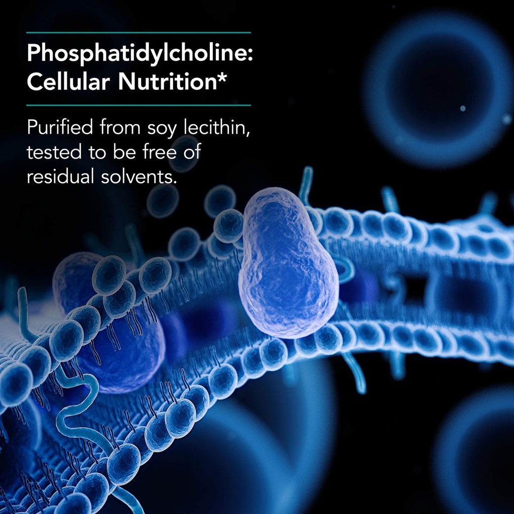 nutricology-phosphatidyl-choline-385-mg--4.jpg
