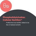 allergy-research-group-arg-phosphatidyl--4.jpg