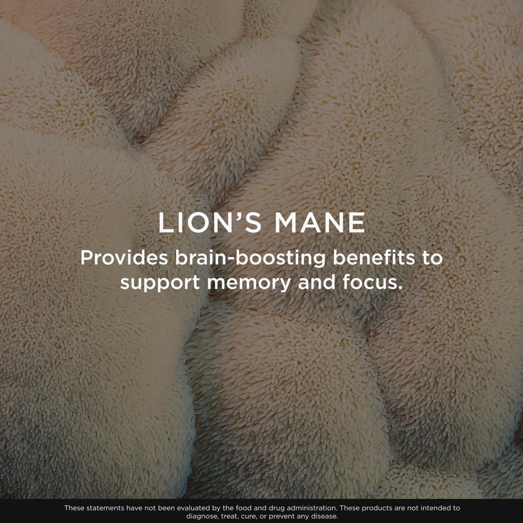 the-genius-brand-genius-lion-s-mane-chew-2.jpg
