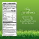 irwin-naturals-stored-fat-belly-burner-s-2.jpg