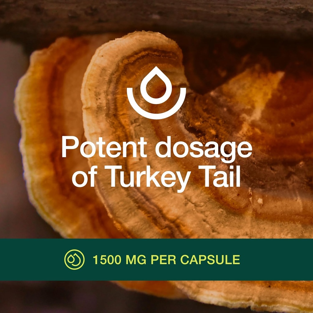 fresh-nutrition-organic-turkey-tail-mush-5.jpg