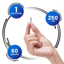 genex-formulas-nad-250mg-serving-60-caps-3.jpg