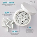 prime-anti-aging-nutraceuticals-nad-nico-3.jpg