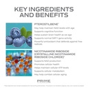 prime-anti-aging-nutraceuticals-nad-nico-4.jpg