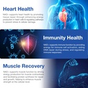 nad-supplement-nad-nicotinamide-riboside-5.jpg