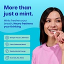 neuro-energy-focus-mints-bundle-original-3.jpg