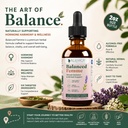 rejuvica-health-balanced-femme-menopause-2.jpg