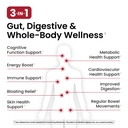 ombre-3-in-1-probiotic-prebiotic-and-pos-2.jpg