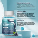 2-pack-sugar-free-acetyl-l-carnitine-gum-3.jpg