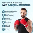 2-pack-sugar-free-acetyl-l-carnitine-gum-4.jpg