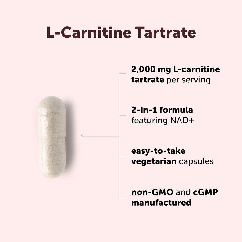 micro-ingredients-l-carnitine-tartrate-2-3.jpg