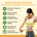 2-pack-acetyl-l-carnitine-supplement-nat-3.jpg