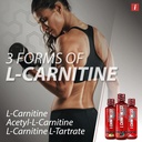 isatori-l-carnitine-ls3-3000-triple-blen-3.jpg