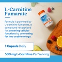 doctor-s-best-l-carnitine-fumarate-suppl-5.jpg