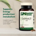 standard-process-cataplex-b-dietary-supp-3.jpg