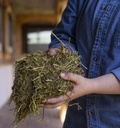 triple-crown-stress-free-forage-for-hors-2.jpg