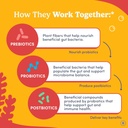 first-day-kids-probiotic-gummies-3-in-1--4.jpg