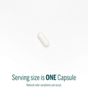 genestra-brands-zinc-picolinate-formula--3.jpg