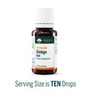 genestra-brands-ginkgo-bud-herbal-supple-3.jpg