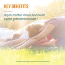 genestra-brands-hmf-immune-probiotic-sup-4.jpg
