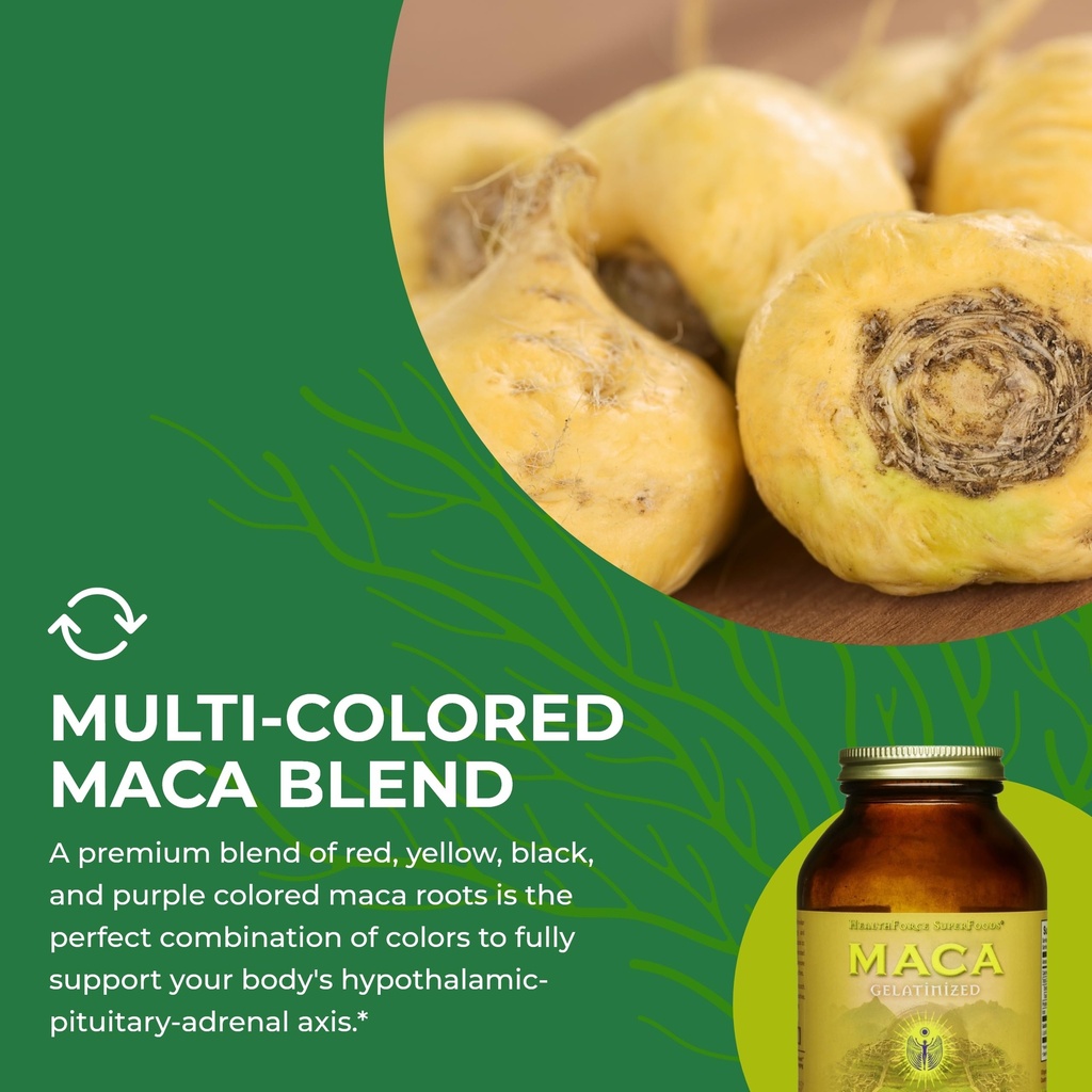 healthforce-superfoods-gelatinized-maca--6.jpg