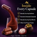 mangosteen-supplement-capsules-freeze-dr-3.jpg