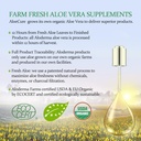 aloecure-usda-organic-aloe-vera-juice-ma-5.jpg