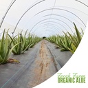naturae-healthy-aloe-vera-juice-with-pul-6.jpg