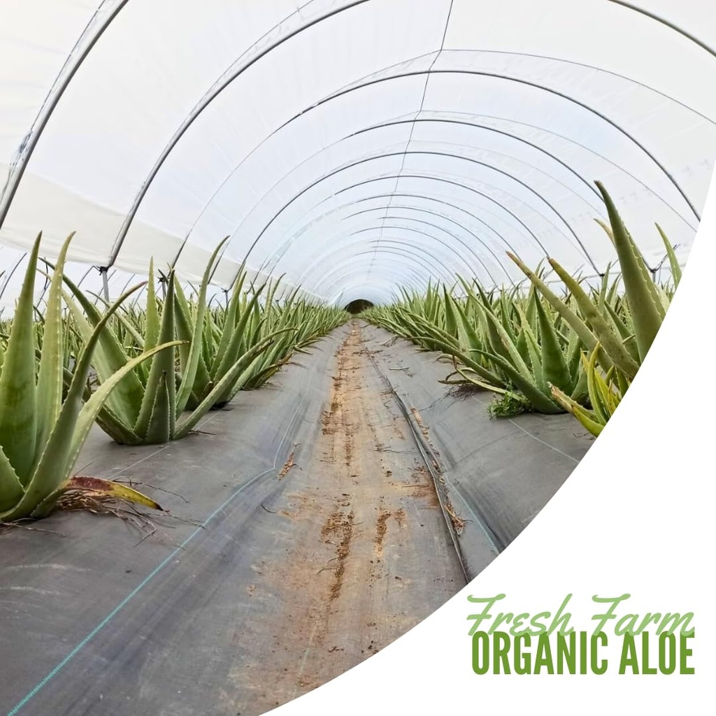 naturae-healthy-organic-aloe-vera-juice--6.jpg