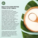 multi-collagen-protein-peptides-suppleme-5.jpg