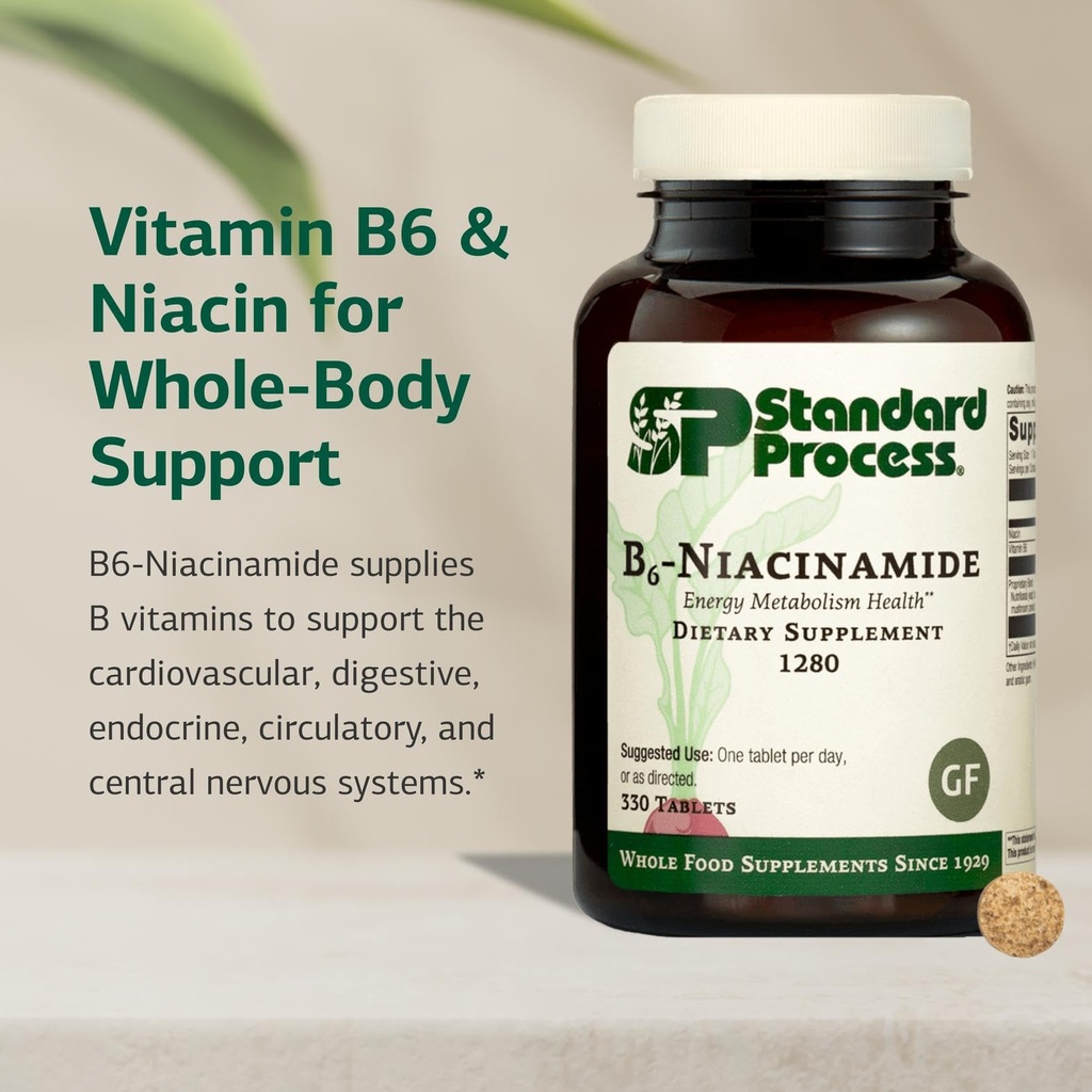 standard-process-b6-niacinamide-energy-m-3.jpg