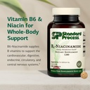 standard-process-b6-niacinamide-energy-m-3.jpg