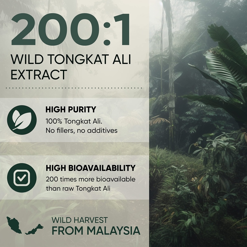jungle-powders-tongkat-ali-for-men-282-s-4.jpg