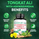 satoomi-tongkat-ali-root-extract-200-1-9-5.jpg