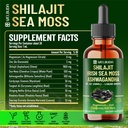 welbuda-10in1-shilajit-liquid-drops-with-4.jpg