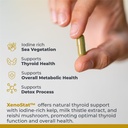 premier-research-labs-xenostat-thyroid-s-4.jpg