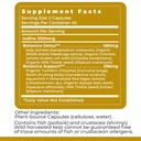 premier-research-labs-xenostat-thyroid-s-6.jpg