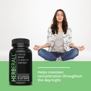 herberall-nootropic-brain-boost-focus-su-6.jpg