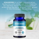 myoxcience-berberine-fasting-accelerator-4.jpg